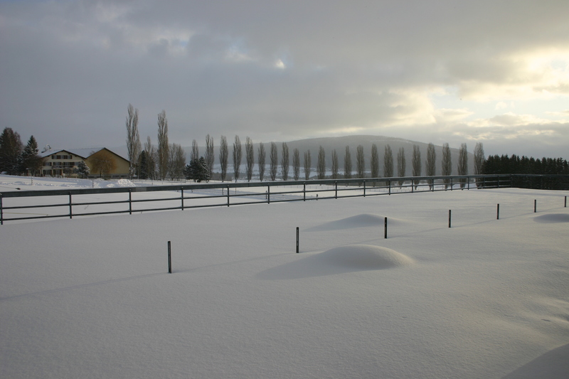 Matin d'hiver, janv. 2010